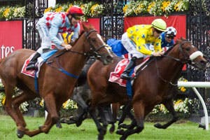 Turn Heads This Spring Carnival