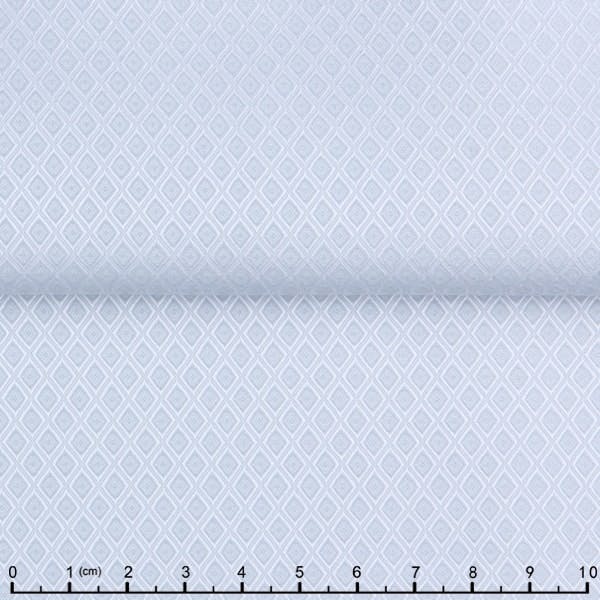 InStitchu Shirt Fabric 67