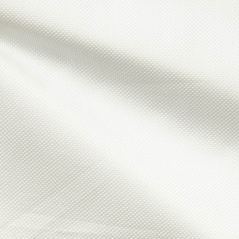 InStitchu Shirt Fabric Image