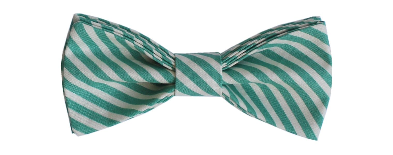 InStitchu Accessories bow-tie Hank in Chief Calvin Bow Tie