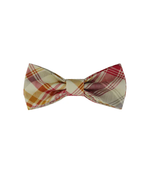 InStitchu Accessories bow-tie Hank in Chief Finley Bow Tie