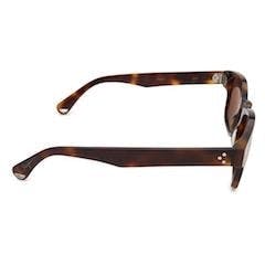 InStitchu Accessories sunglasses Pacifico Optical Ashley Choc Havana with Brown Lens