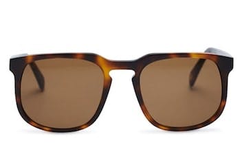 InStitchu Accessories sunglasses Pacifico Optical Dino Choc Havana with Brown Lens