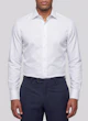 the-shark-white-shirt