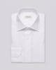 the-shark-white-shirt
